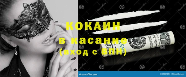 сатива Балахна