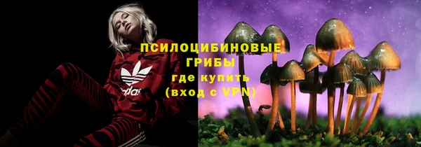 сатива Балахна