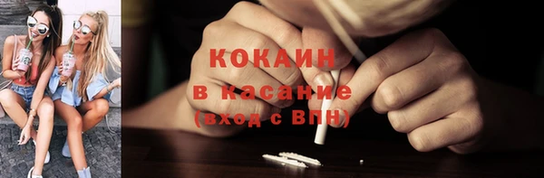 сатива Балахна