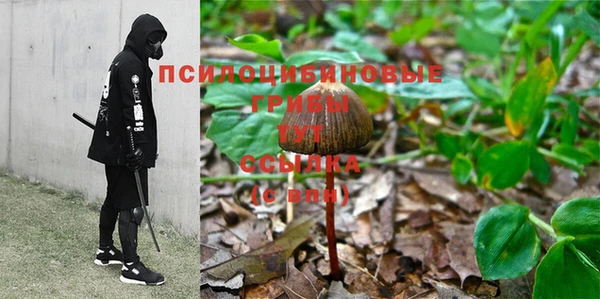 винт Баксан