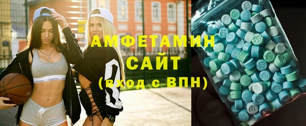 сатива Балахна