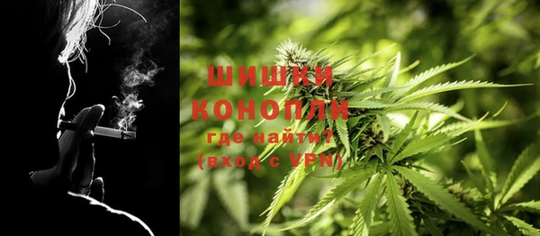 сатива Балахна