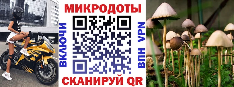даркнет как зайти  Белогорск  Галлюциногенные грибы MAGIC MUSHROOMS 